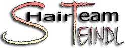 Hairteam Steindl KG Logo