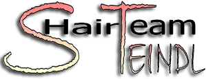 Hairteam Steindl Logo