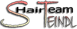 Hairteam Steindl KG Logo