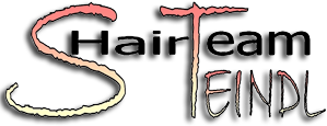 Hairteam Steindl Logo